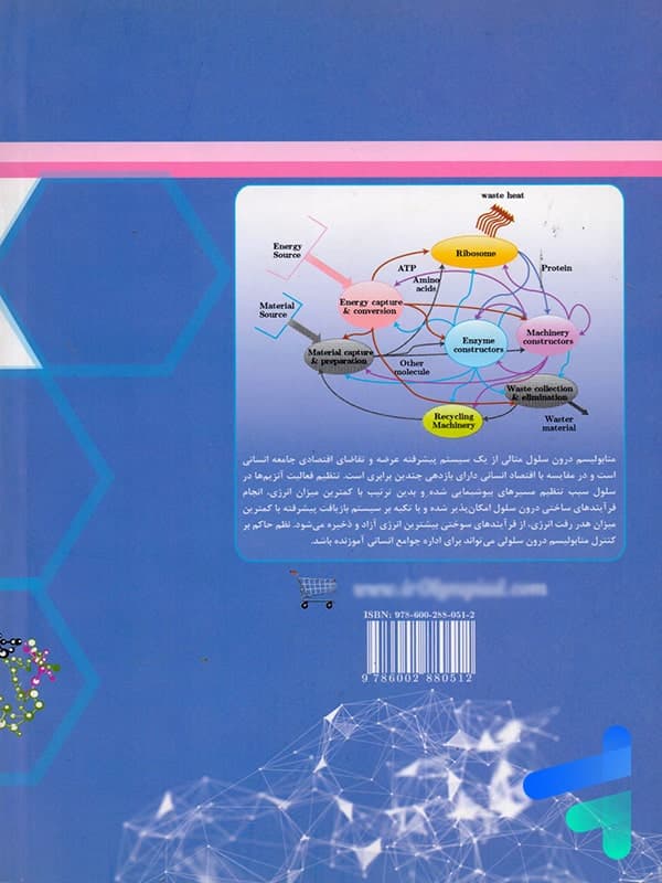 مبانی کنترل متابولیسم دانش پژوهان جوان — تصویر ۲