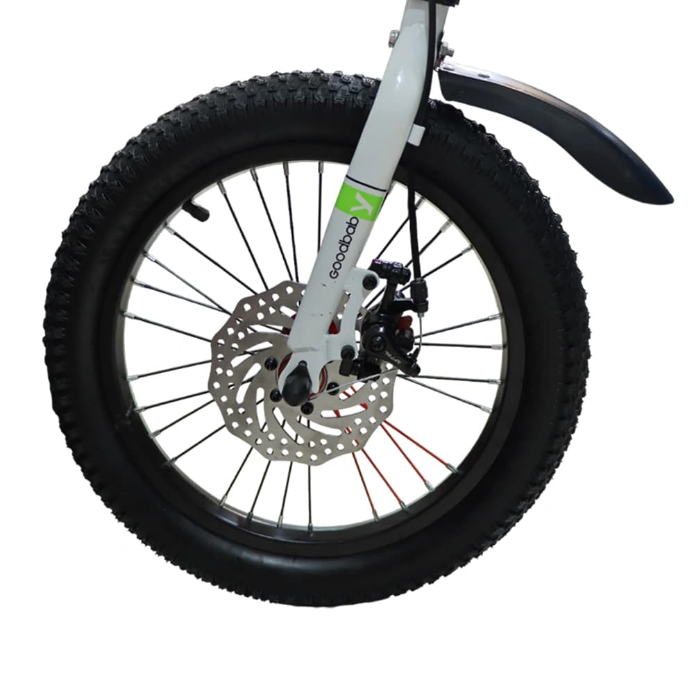 دوچرخه سایز 16 گود بیبی مدل Good Baby SM-16300 دیسکی — تصویر ۶