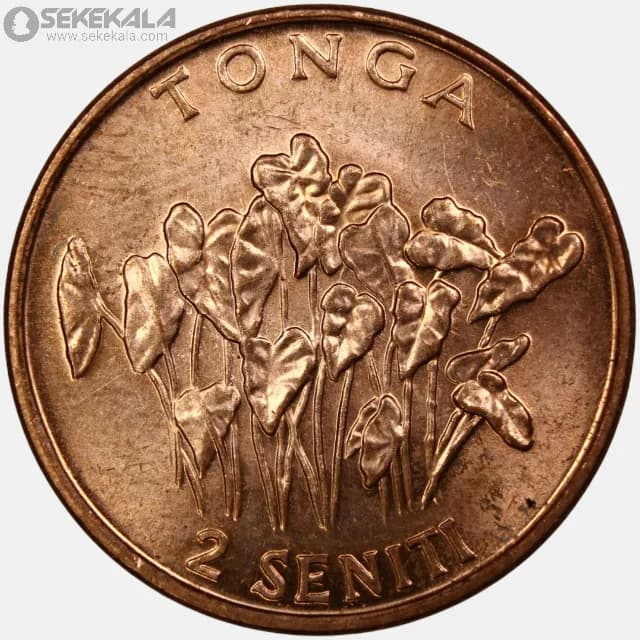 سکه 2 سنیتی کمیاب تونگا 1996 (FAO)
