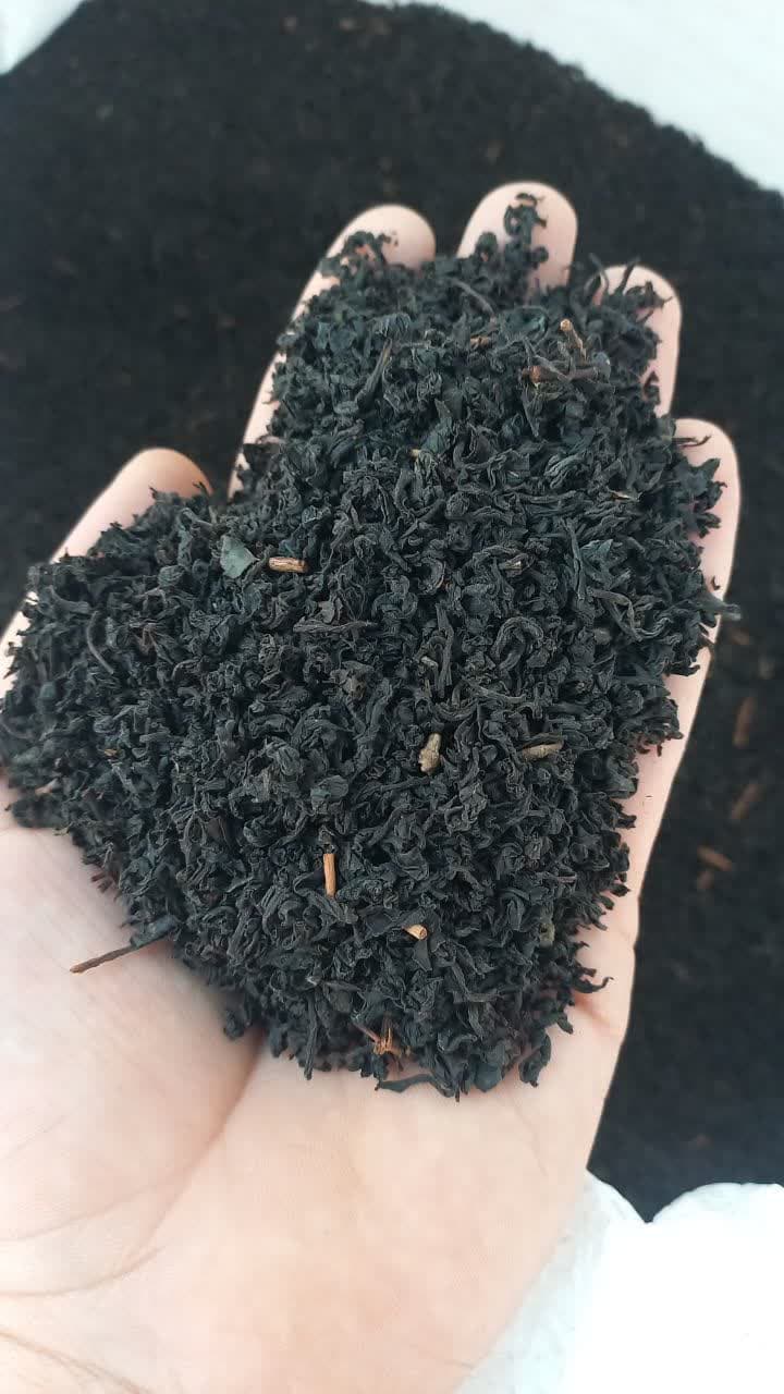 چای وزین لیزر نشده
