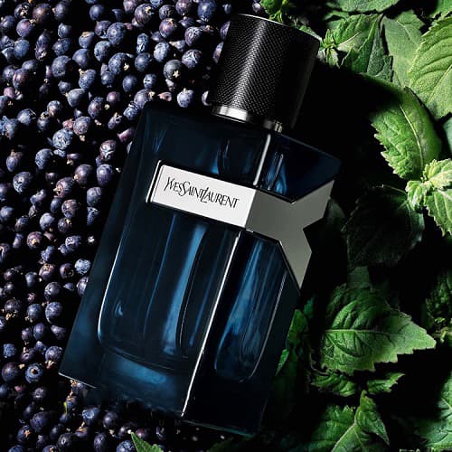 عطر ادکلن مینی ایو سن لورن وای (سوپر اسمارت) | YSL Y (Super Smart) حجم 25 میل(شرکتی) — تصویر ۳