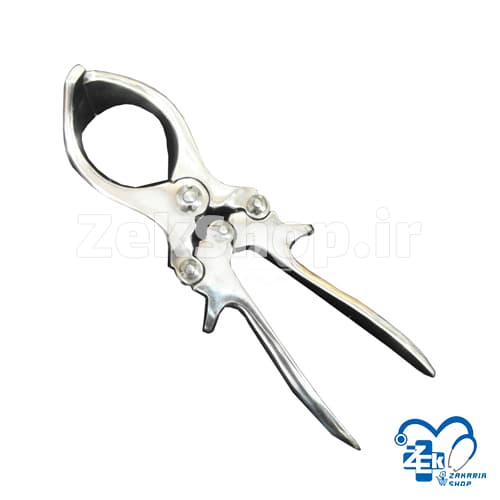 پنس اخته گوسفندی