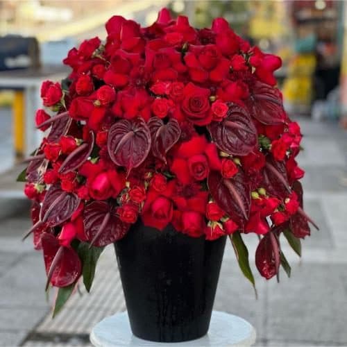 گل و هدیه برای روز بدون تبعیض pe526