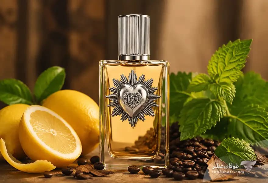 دولچه گابانا دیووشن پورهوم — تصویر ۳