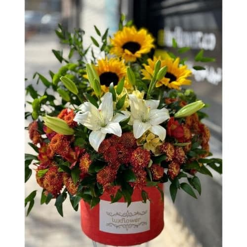 گل و هدیه برای عمه یا خاله pe462