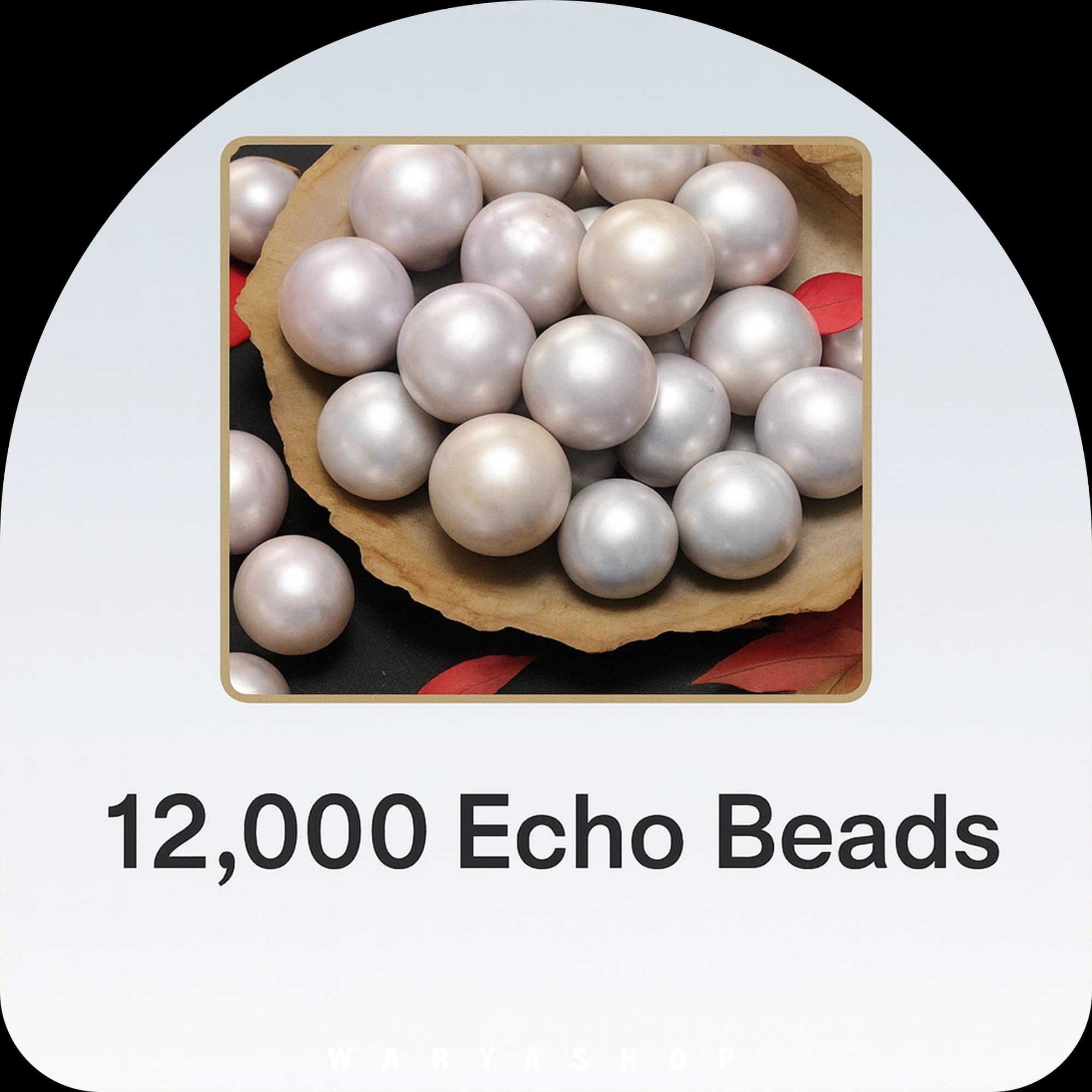 12000 اکو بیدز بازی ور ویندز میت