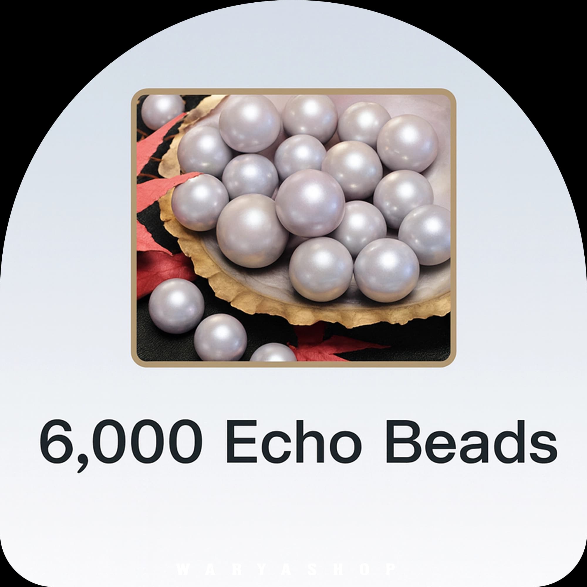 6000 اکو بیدز بازی ور ویندز میت