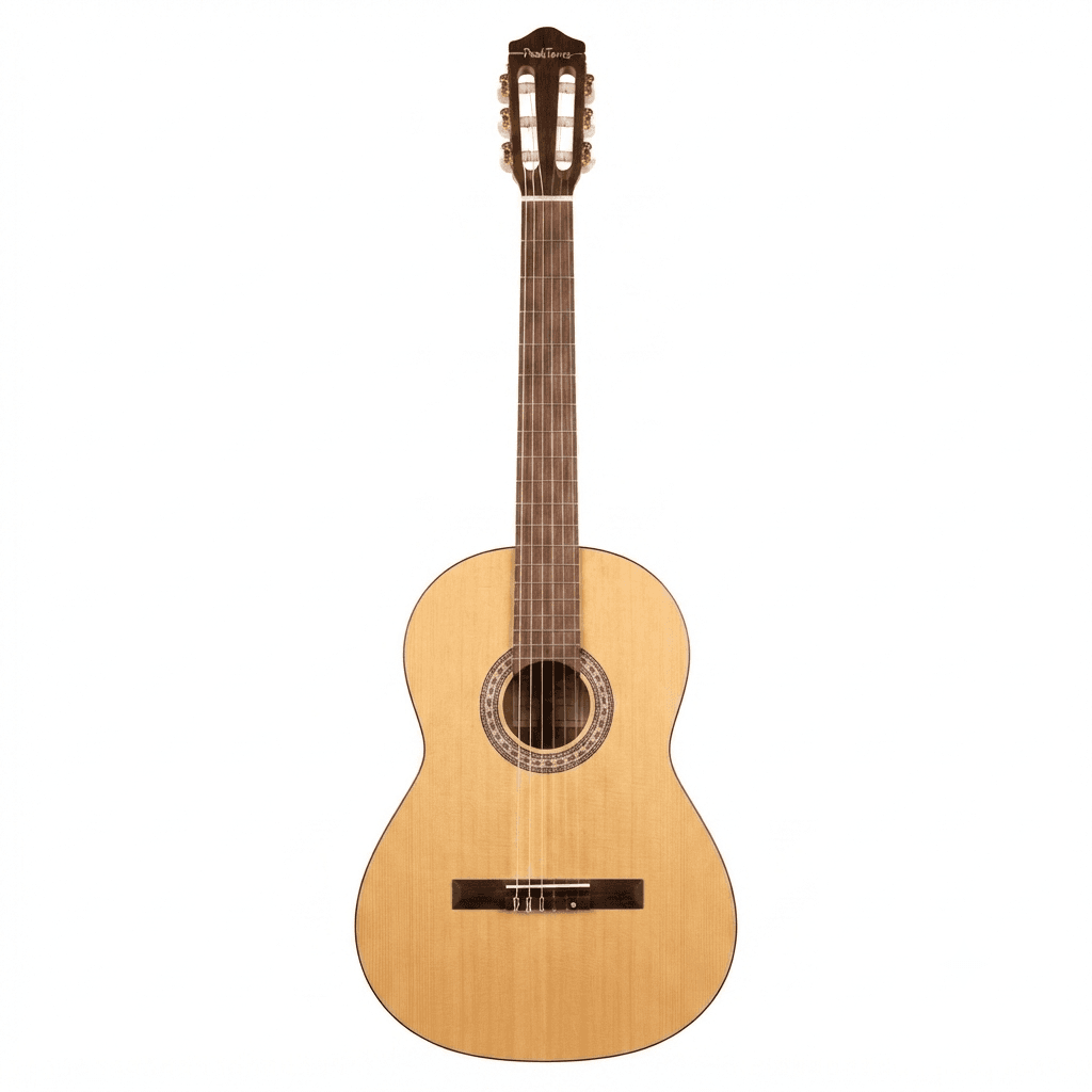گیتار کلاسیک Peaktones مدل L1
