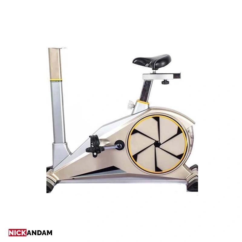 دوچرخه ثابت خانگی ایستاده تایگر اسپرت مدل G100 — تصویر ۲