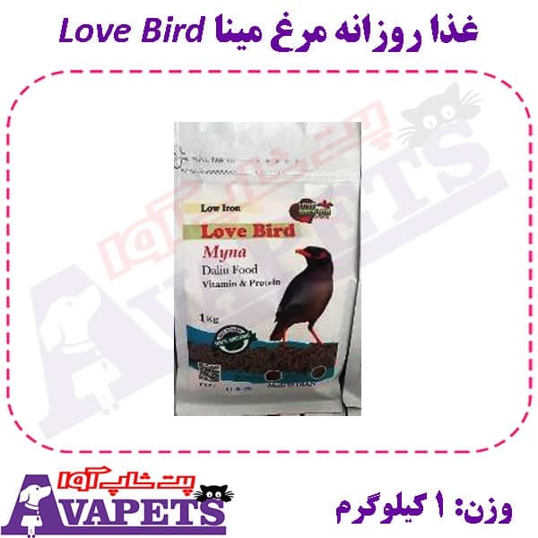 غذا روزانه مرغ مینا Love Bird وزن 1 کیلوگرم