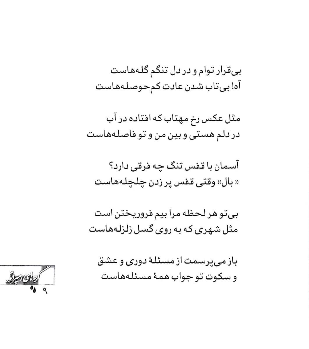 گریه های امپراطور — تصویر ۲
