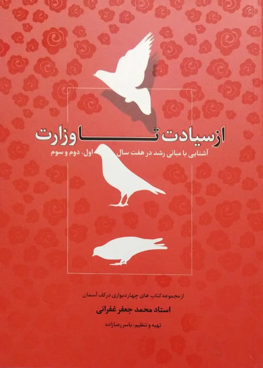 ازسیادت‌ تا وزارت
