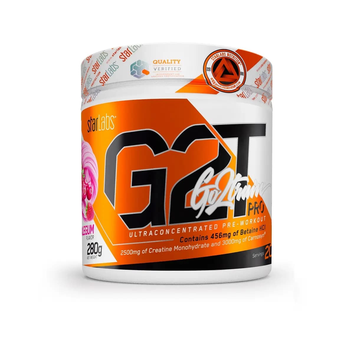 پودر پمپ ۲۸۰ گرمی گوتوترین پرو استارلبز | Go2train Pro 280g Powder