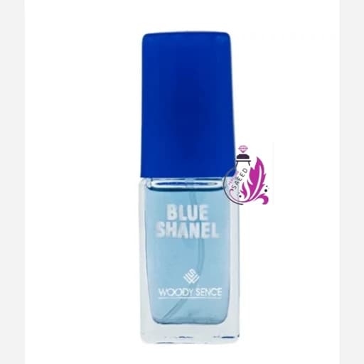 عطر جیبی BLUE SHANELبلوشنل مردانه وودی سنس 15 میل