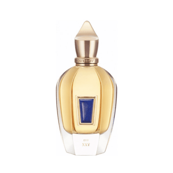 عطر حِس مدل زرجوف ایکس ایکس وای – hes – XERJOFF – XXY