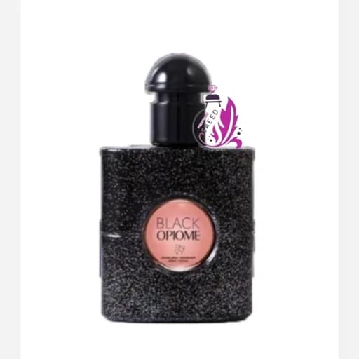 ادکلن بلک اوپیوم BLACK OPIOME ان وی 25 میلENVY