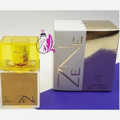 ادکلن زن 25میلENVY
