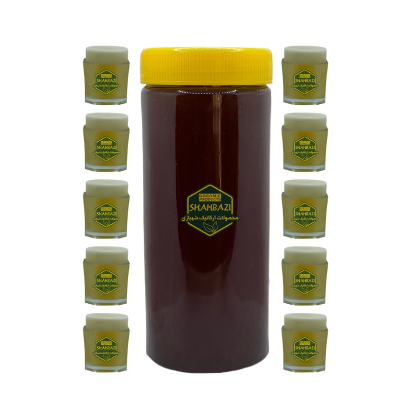 عسل بهشتی خاص درمانی 1 کیلوگرمی مخلوط با 100 گرم ژل رویال ویژه گرید A