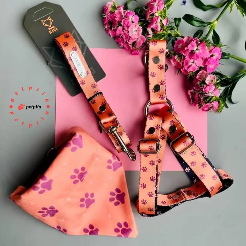 ست قلاده کتفی، لیش، گردنی و دستمال گردن سایز مدیوم – برای سگ‌های کوچک و متوسط — تصویر ۲