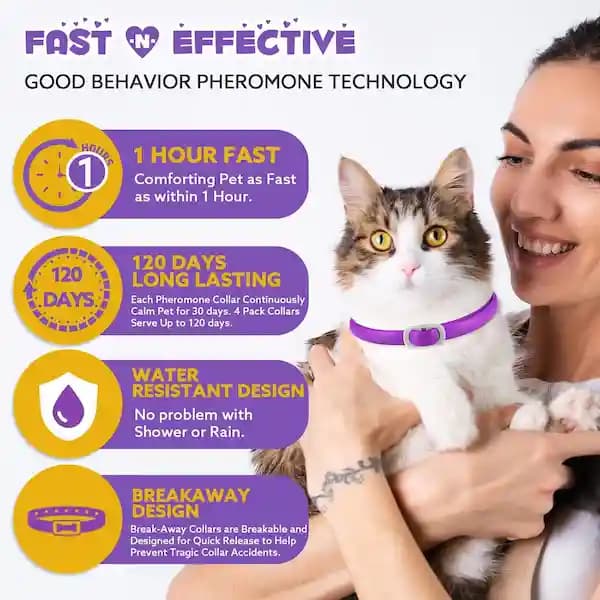قلاده آرامبخش گربه اویمال رنگ بنفش Oimmal Calming Collar for Cats — تصویر ۳