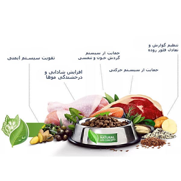 غذای خشک سگ مینی ادالت هپی داگ Happy Dog Mini Adult Fit & Vital — تصویر ۲