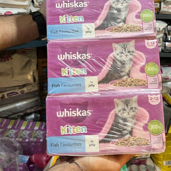 پوچ بچه گربه ویسکاس با طعم میکس ماهی‌های دریایی Whiskas Kitten Fish Favourites in Jelly — تصویر ۲