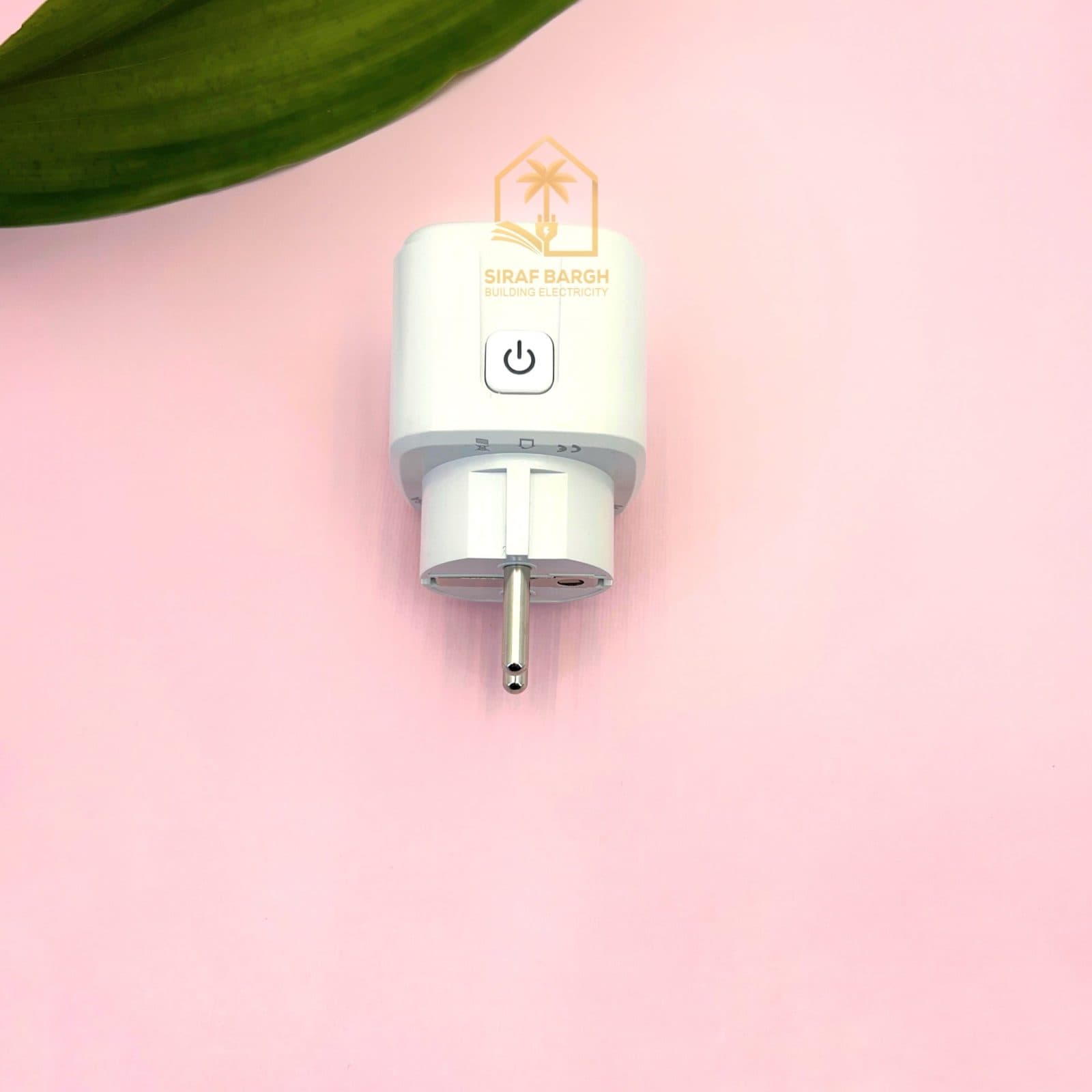 پریز هوشمند دوشاخه دار 16 آمپر تویا Tuya Wifi