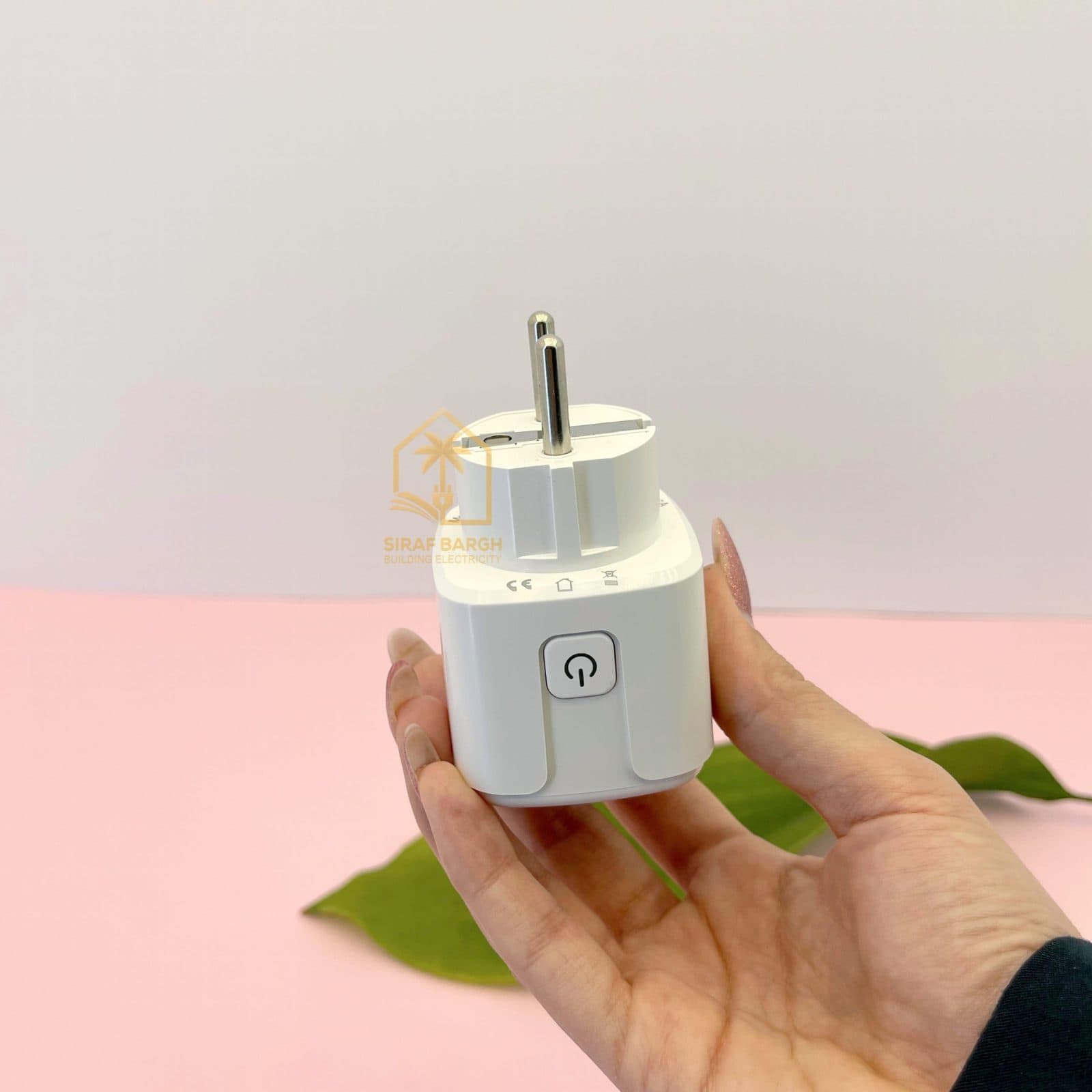 پریز هوشمند دوشاخه دار 16 آمپر تویا Tuya Wifi — تصویر ۲