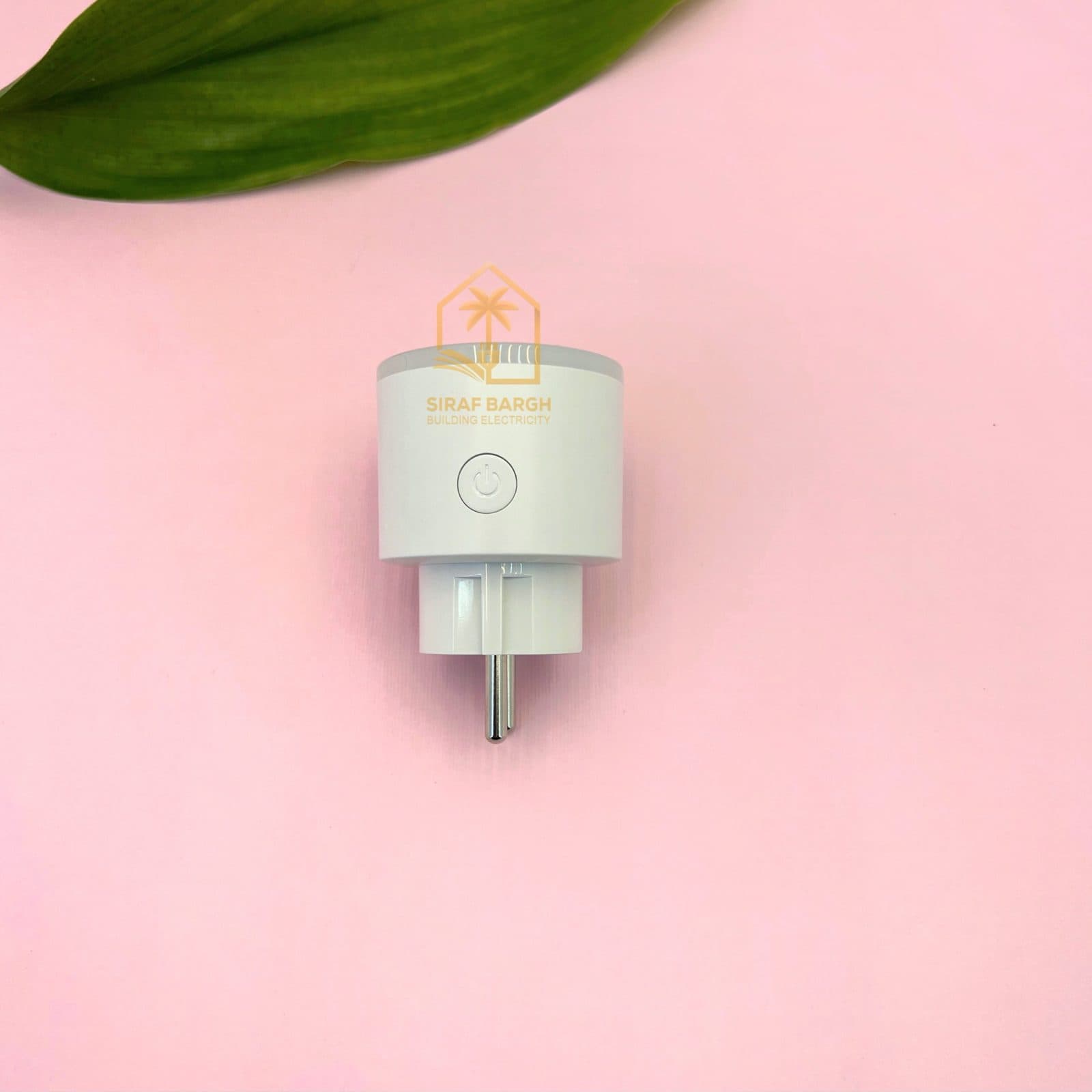 پریز هوشمند دوشاخه دار 16 آمپر Led تویا Tuya Wifi مانیتورینگ مصرف انرژی