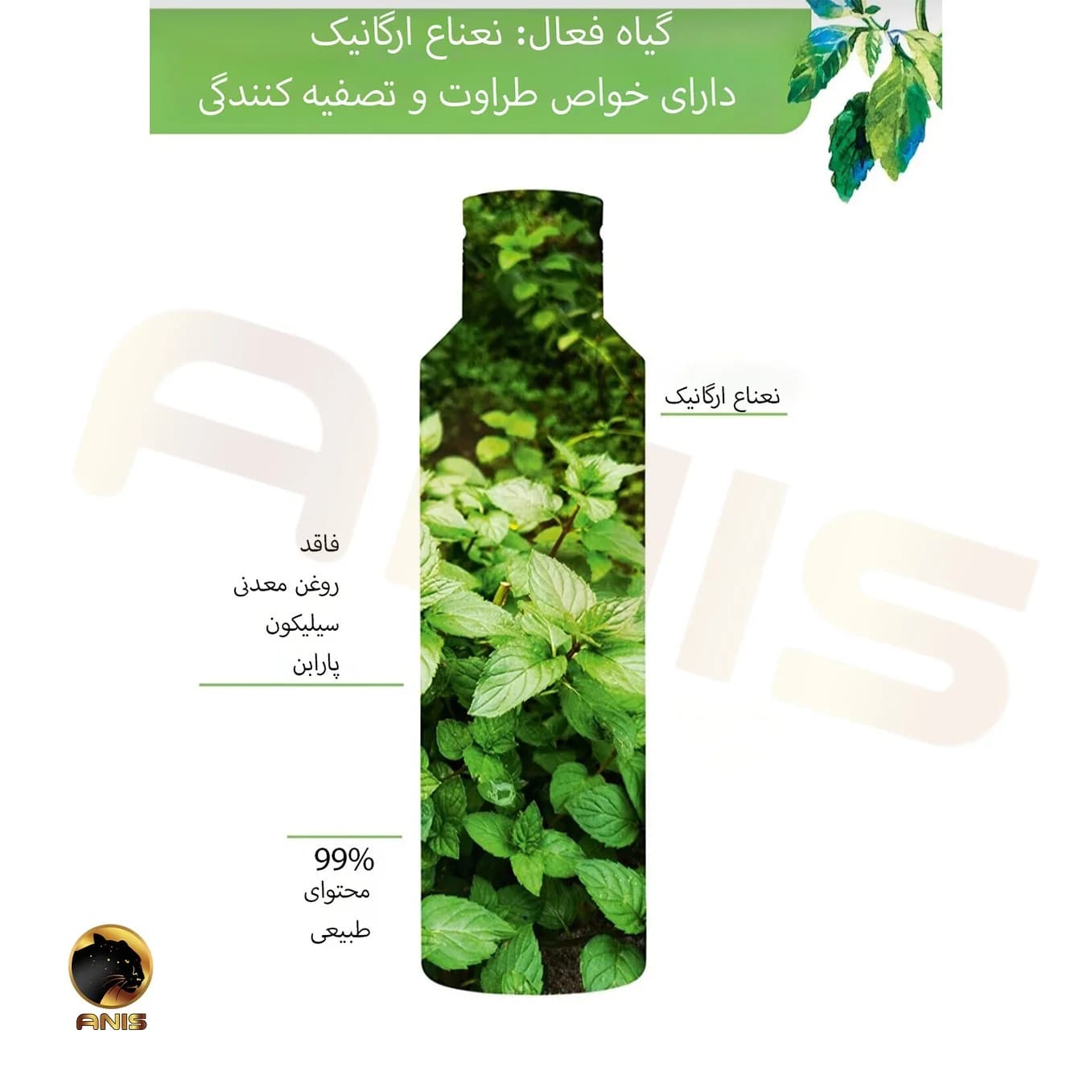 پاک کننده و شستشوی صورت pure algue ایوروشه پوست های چرب 200 میل — تصویر ۴