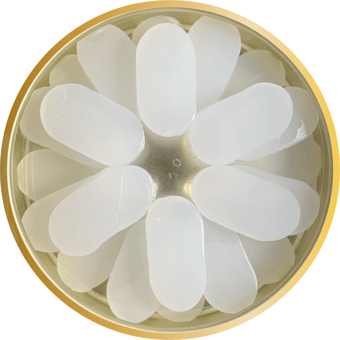 محافظ گوش ژله ای یازده جفت CLEVER plus — تصویر ۲