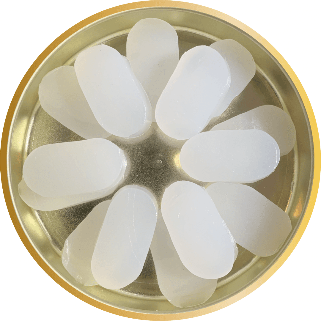 محافظ گوش ژله ای هفت جفت CLEVER plus — تصویر ۲