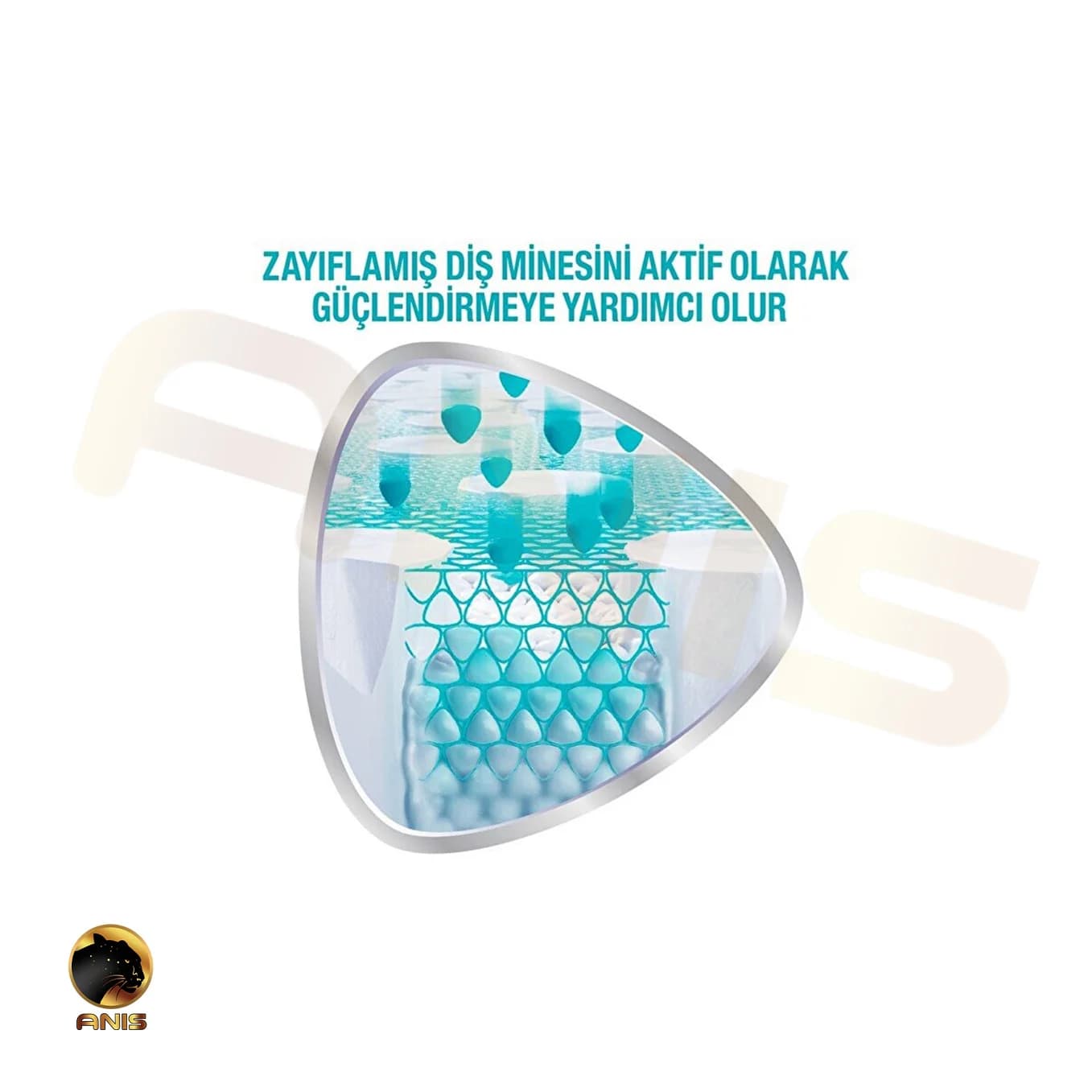 خمیر دندان Promine Beyazlatici سنسوداین سفید کننده دندان 75 میل — تصویر ۲