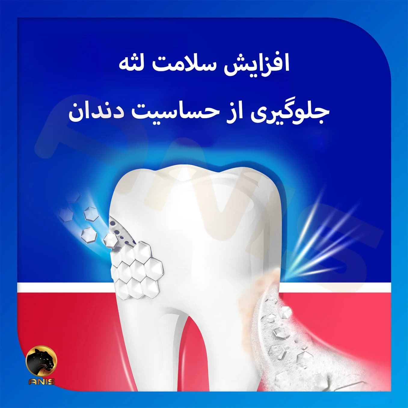 خمیر دندان سنسوداین نعنایی sensodyne حجم 100 میل — تصویر ۵