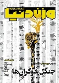 کتاب ماهنامه وزن دنیا شماره 12 اثر گروه نویسندگان کدm21960