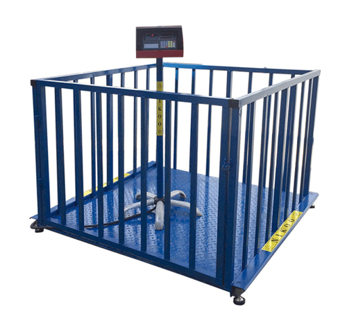 باسکول دامکش نیکو 3 تن مدل 3000EMF4L ا Nikoo Cattle Scale 3 Tone 3000EMF4L 150 کفی قفسه دار (نمایندگی رسمی + گارانتی)