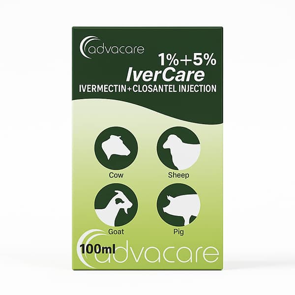 ایورکر ۱٪ + ۵٪ (IverCare Injection) – تزریقی ایورمکتین + کلوزانتل برای دام و طیور