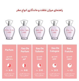 ادکلن مردانه ماریاژ مدل Benir — تصویر ۴