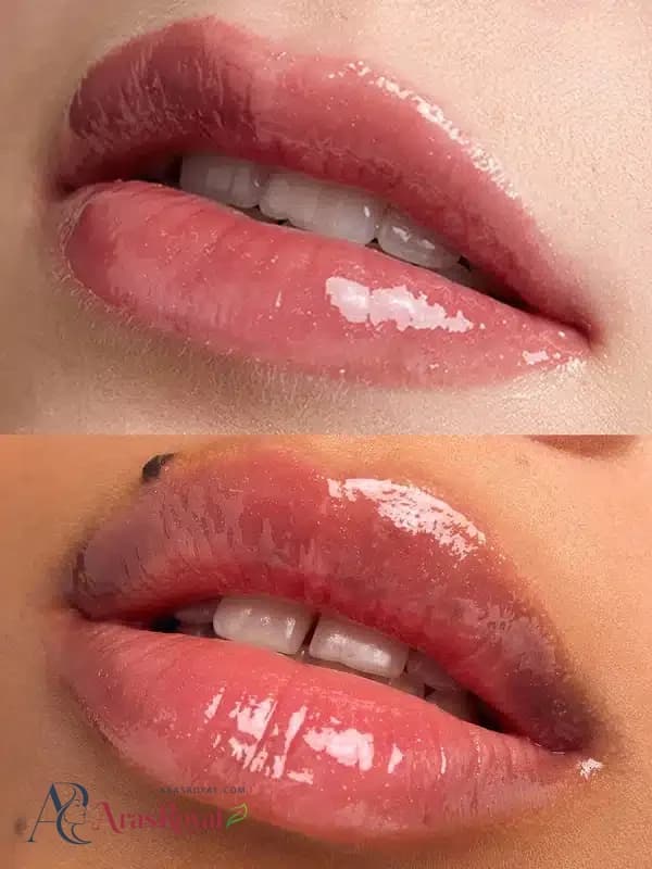 لیپ گلاس رنگی براق و مرطوب کننده لب شیگلم مدل پاور بوکت رنگ Freesia Sheglam Power Bouquet Lip Gloss — تصویر ۹