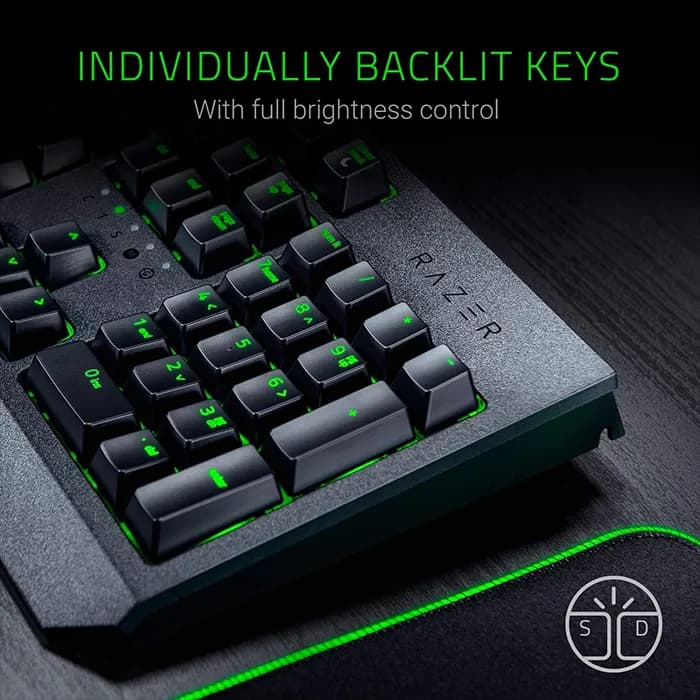 کیبورد گیمینگ مکانیکال ریزر BlackWidow Essential Green Switch — تصویر ۳
