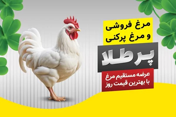 کارت ویزیت مرغ فروشی و مرغ پرکنی لایه باز PSD — تصویر ۳