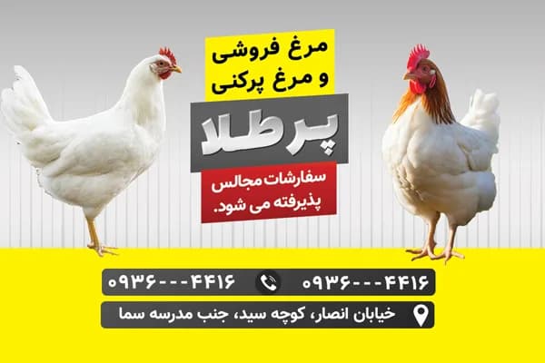 کارت ویزیت مرغ فروشی و مرغ پرکنی لایه باز PSD — تصویر ۲