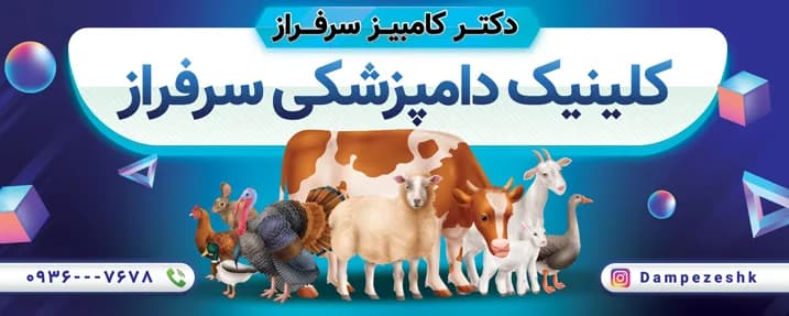 طرح بنر کلینیک دامپزشکی — تصویر ۲