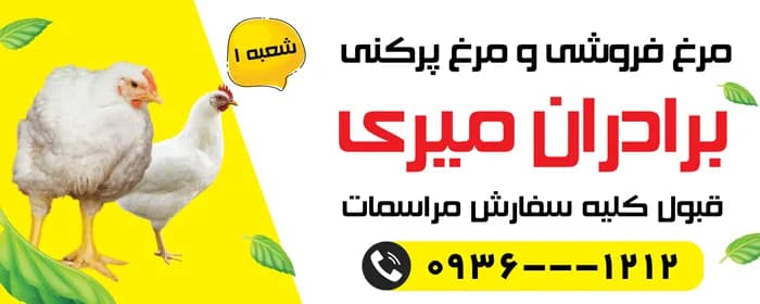 بنر مغازه مرغ فروشی PSD لایه باز — تصویر ۲