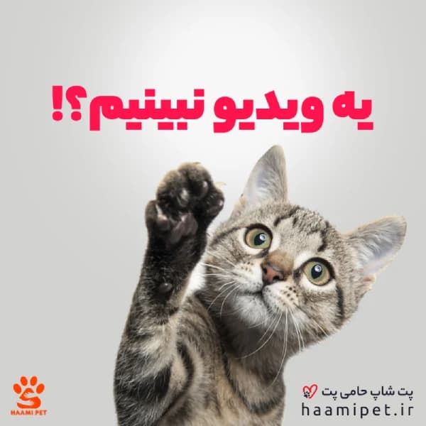 خاک گربه گارفیلد مدل گرانول ساده 10 کیلویی [فقط تهران] — تصویر ۲