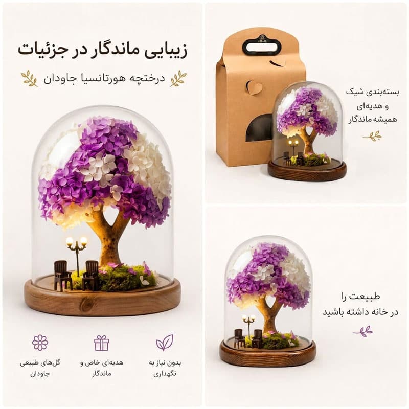 درختچه هورتانسیا جاودان بنفش سفید — تصویر ۳