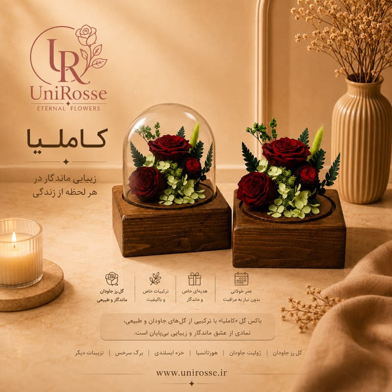 باکس گل رز جاودان مدل کاملیا — تصویر ۳
