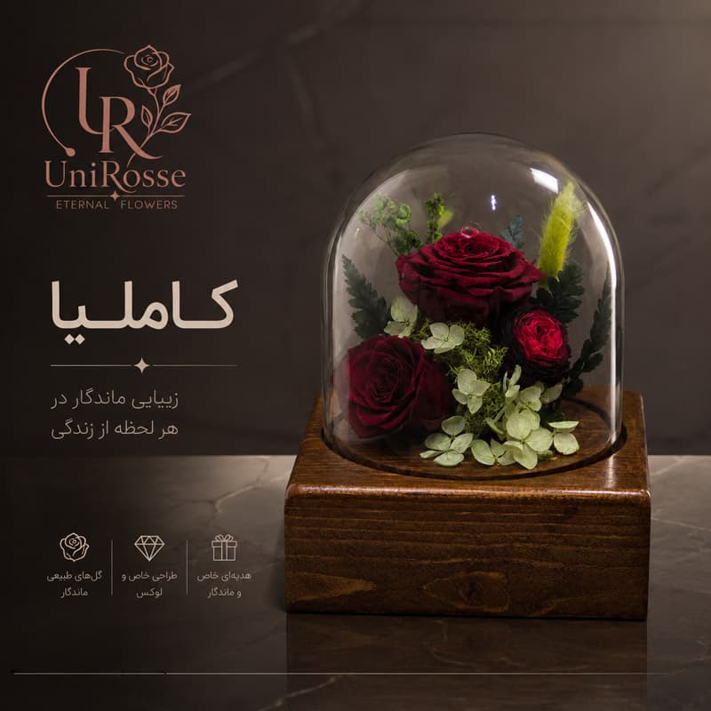 باکس گل رز جاودان مدل کاملیا — تصویر ۵