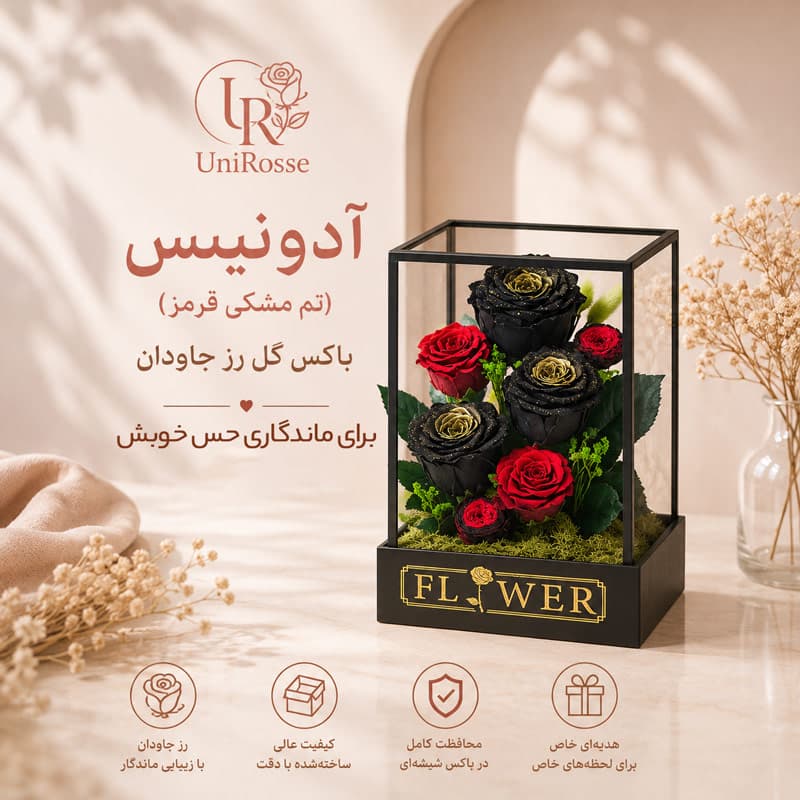 باکس گل رز جاودان مدل آدونیس مشکی