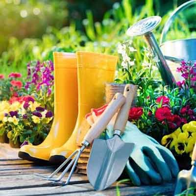 خلاصه درس زبان تخصصی علوم و مهندسی باغبانی